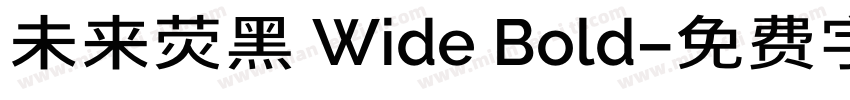 未来荧黑 Wide Bold字体转换